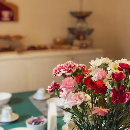 Alojamento de Acomodação e Pequeno-almoço Casa Jolanda